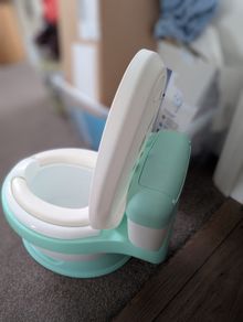 potty training toilet seat and toddler stool