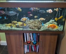 Fish Tank