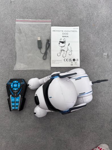 Ziggy the Robo dog
