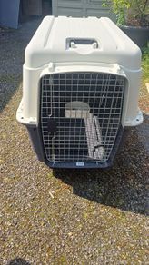 Dog Travel Crate - XL