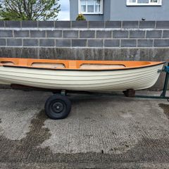Darragh 14 for sale