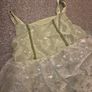Halloween Costume - Tinkerbell Image 4