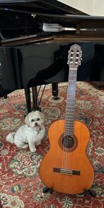 Yamaha Guitar and Accessories