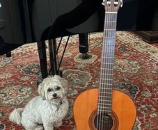 Yamaha Guitar and Accessories