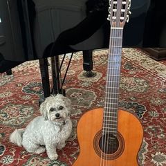 Yamaha Guitar and Accessories