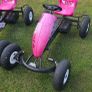 Berg Go Kart Image 2