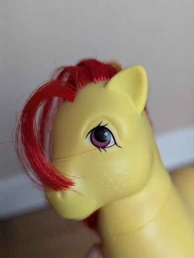 Vintage G1 My Little Pony Mountain Boy Sunburst RARE