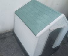 Dog House
