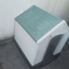 Dog House