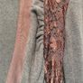 Tyrell & Brennan Wool Wrap Dress Image 8