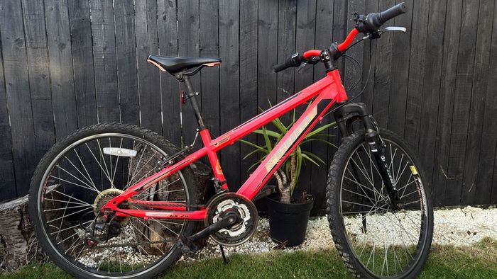 2 kids bikes