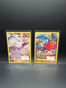 Frosmoth Tg04/Tg30 | Druddigon Tg09/Tg30 Pokemon Cards