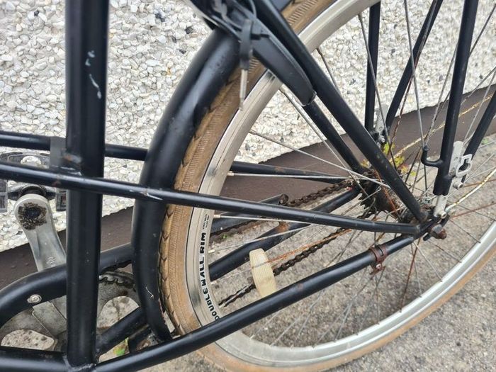 Mans Bike