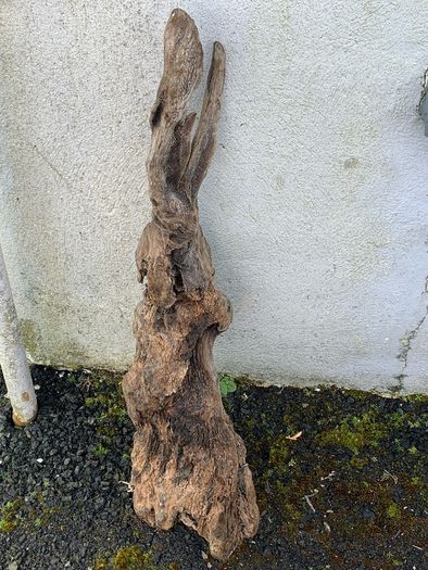 Substantial Collection of Old Bog Oak. Delivery by van can be arranged.
