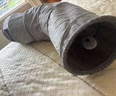 Foldable soft cat tunnel