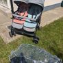 Double buggy Image 2