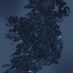 aryan4