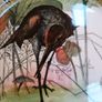 Vintage Royal Doulton Plate Image 5