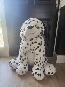 Teddy Dog