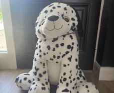 Teddy Dog