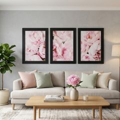 3 pictures with frame 53x72 cm each