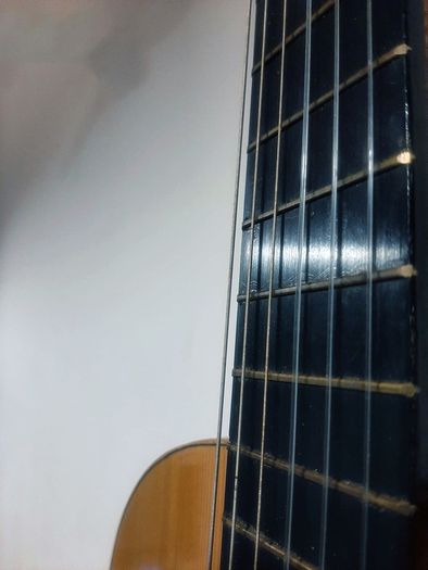 Alhambra Spanish Guitar - Classical, Nylon, Strings