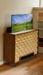 Electric TV Riser