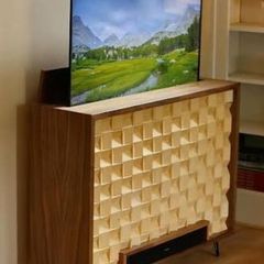 Electric TV Riser