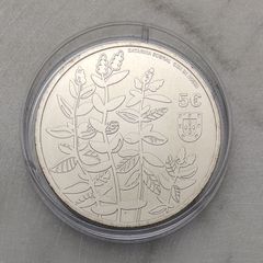 Portugal 5 Euro Base Metals Uncirculated Coin 2023 - Longleaf Wild Mint - Threatened Plant Species