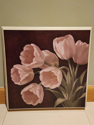Picture of tulips