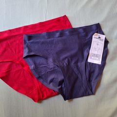 Chantelle briefs 2 pairs