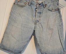 Levis shorts