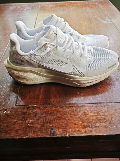 Nike Air Zoom Pegasus 41 EasyOn