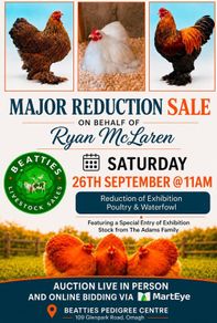 Poultry Auction: Ryan McLaren Major Reduction Sale