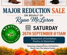 Poultry Auction: Ryan McLaren Major Reduction Sale
