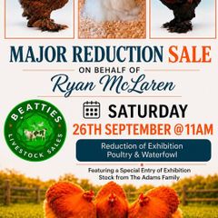Poultry Auction: Ryan McLaren Major Reduction Sale