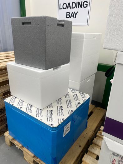 Large styrofoam storage boxes
