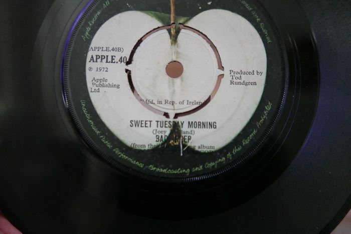VINYLS -P. McCartney - M. Hopokin (15 each)