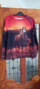 ladies top horse
