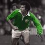 Twelve Feet Tall - The Autobiography - Tony Ward (Signed By Rugby Legend Tony Ward) Image 2