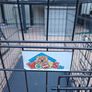 Animal cage Image 2