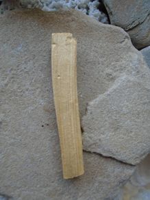 Palo Santo sticks, Smudging, cleansing, Holy Wood