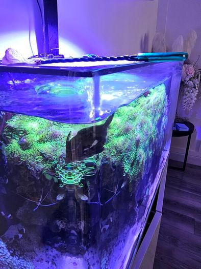 aqua one aquarium