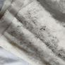 Fabric Image 6