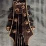 Schecter Omen Extreme-7 String with matching Schaller straplocks Image 5