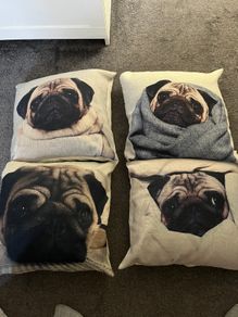 High Quality Pug Dog Cushion Covers with pillows 45-45cm , good condition, Lucan