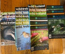 Wild Ireland magazines