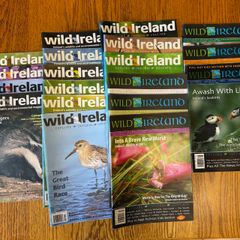 Wild Ireland magazines