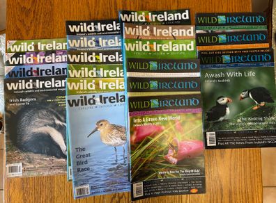 Wild Ireland magazines