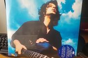 THE WATERBOYS a rock in the weary land 2 blue vinyl
